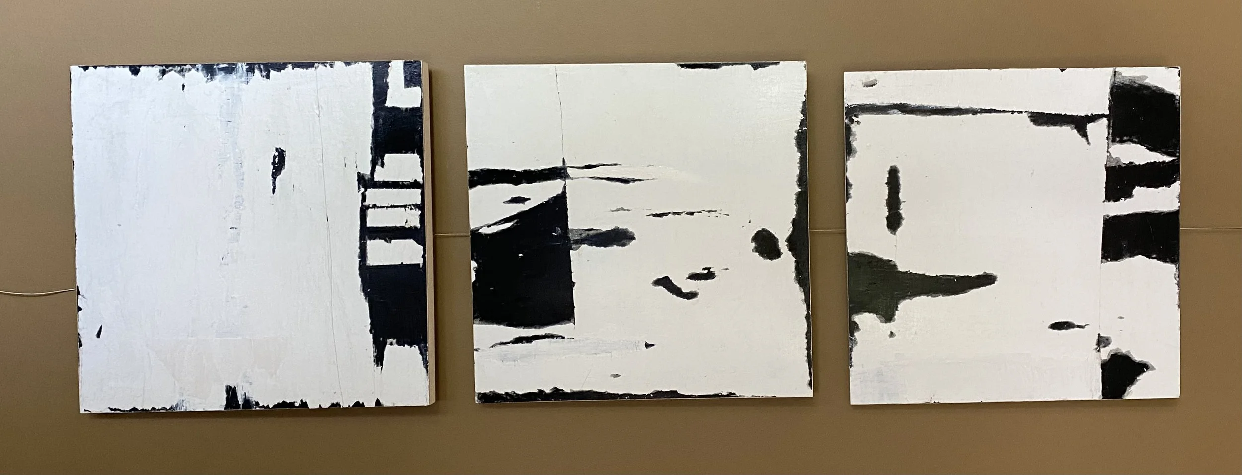 HORIZONTAL B & W TRYPTEC.jpeg