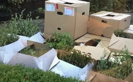 It doesn’t look like much now, but there are a lot of plants there and more to come. All packed up and ready to go.