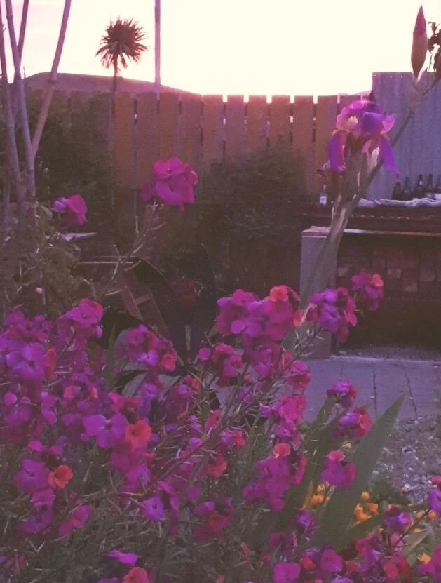 Hot summer evenings are an opportunity to relax in your beautiful garden.