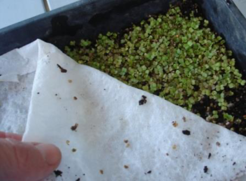 Screen Shot 2020-04-11 at 5.35.52 PM.png