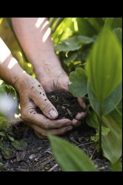 vegetable-garden-soil2-400x600.jpg