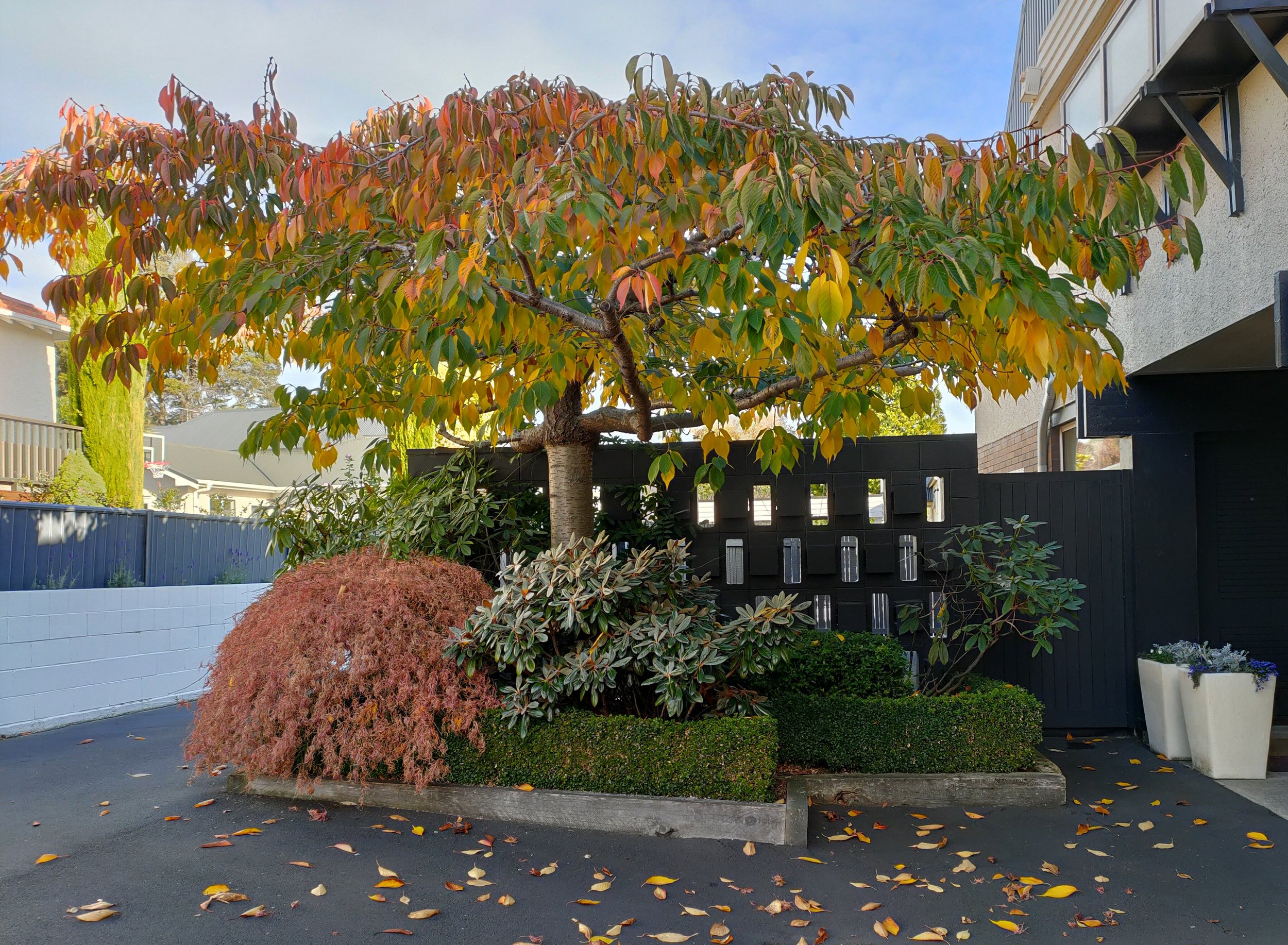 Ross front entrance.jpg