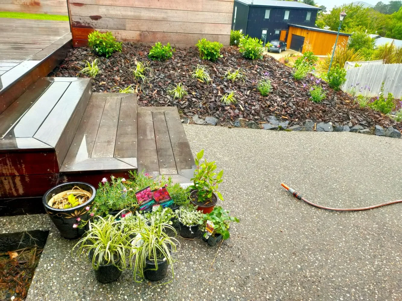 Broad Bay Planting.jpg