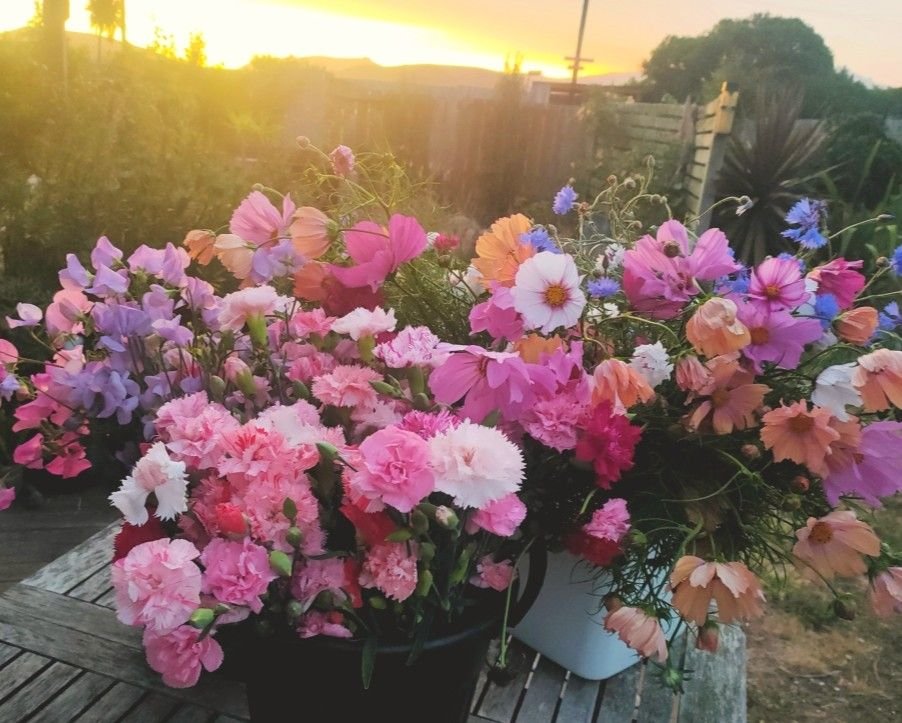 SunsetFlowers.jpg