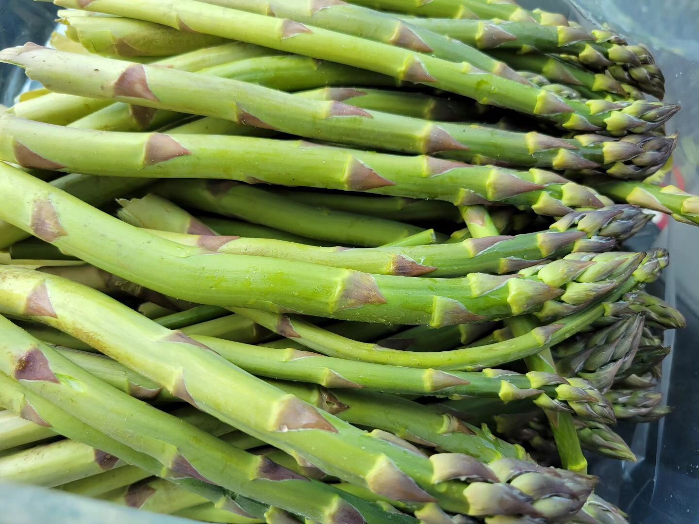 We won't have new weekly features until tomorrow, simply because we're getting @crispcountryacres Asparagus delivered tomorrow for our beer battered asparagus! We're so excited for Asparagus season!! 

#supportfarmers #downtownkalamazoo #lfg #arcade 