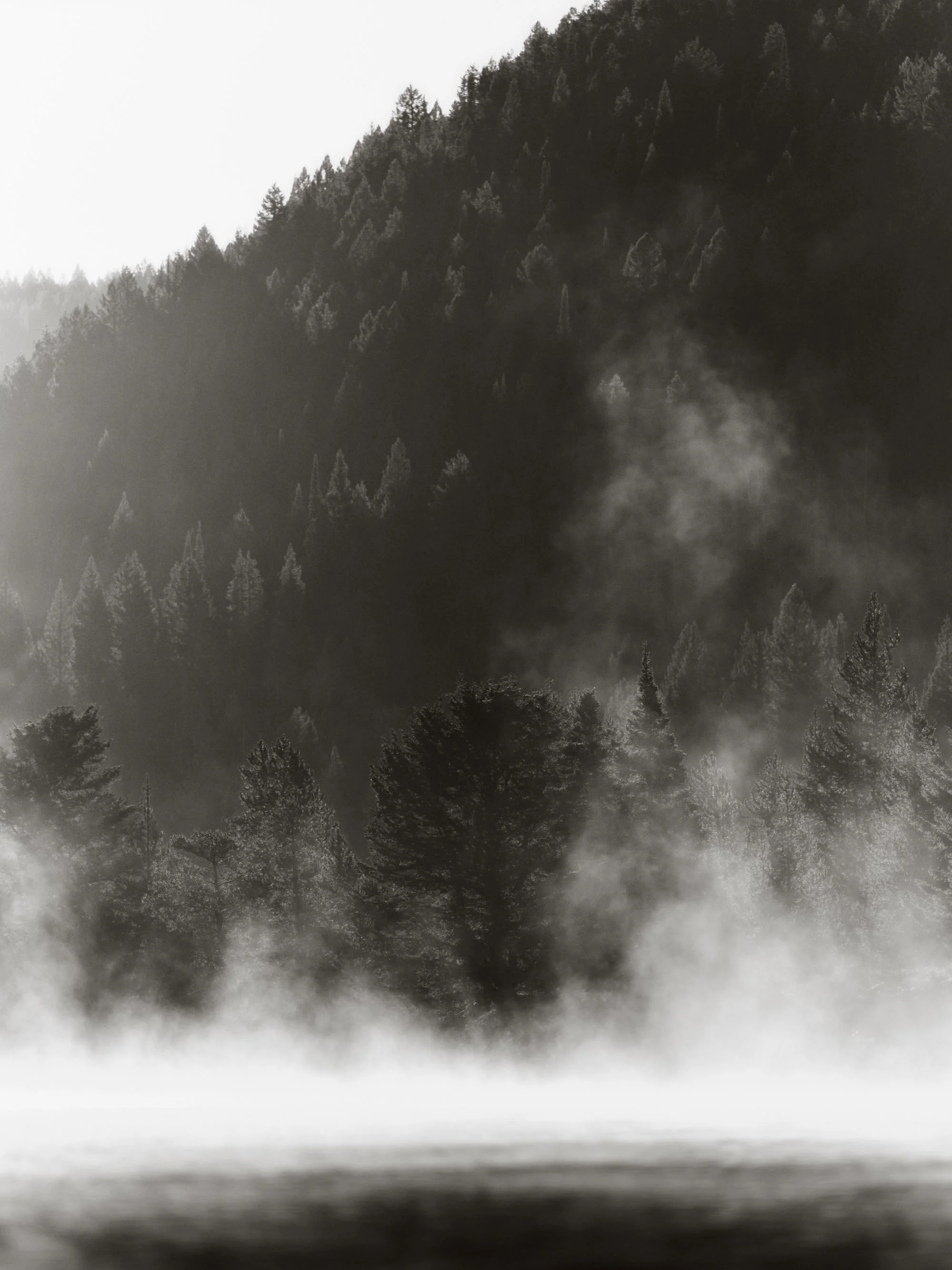 DEF24_02_LANDSCAPE_0027.jpg