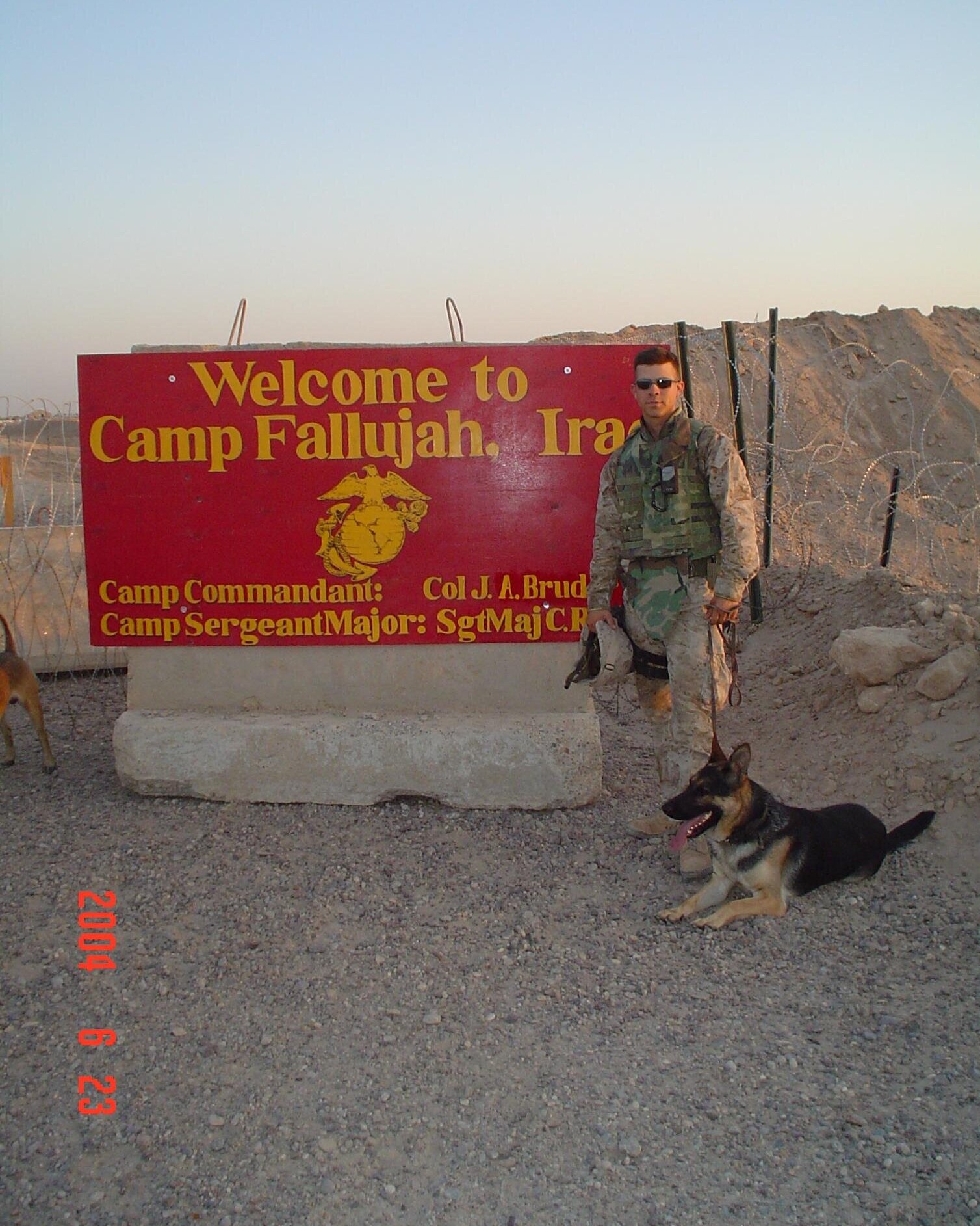 Sergeant Rex: The Unbreakable Bond Between a Marine and His Military  Working Dog