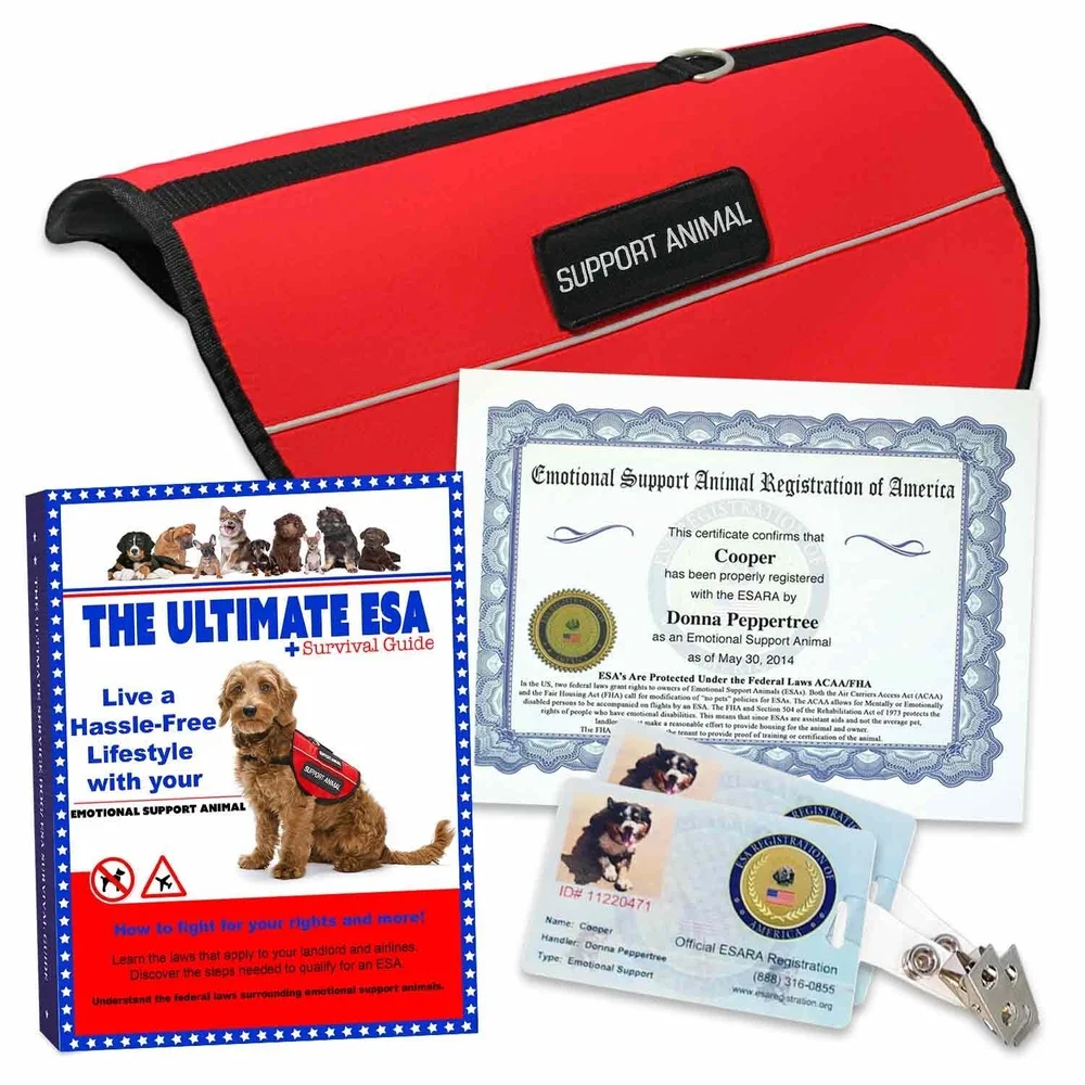 How Benji Flys With Me Among Other Things Megan Heaton