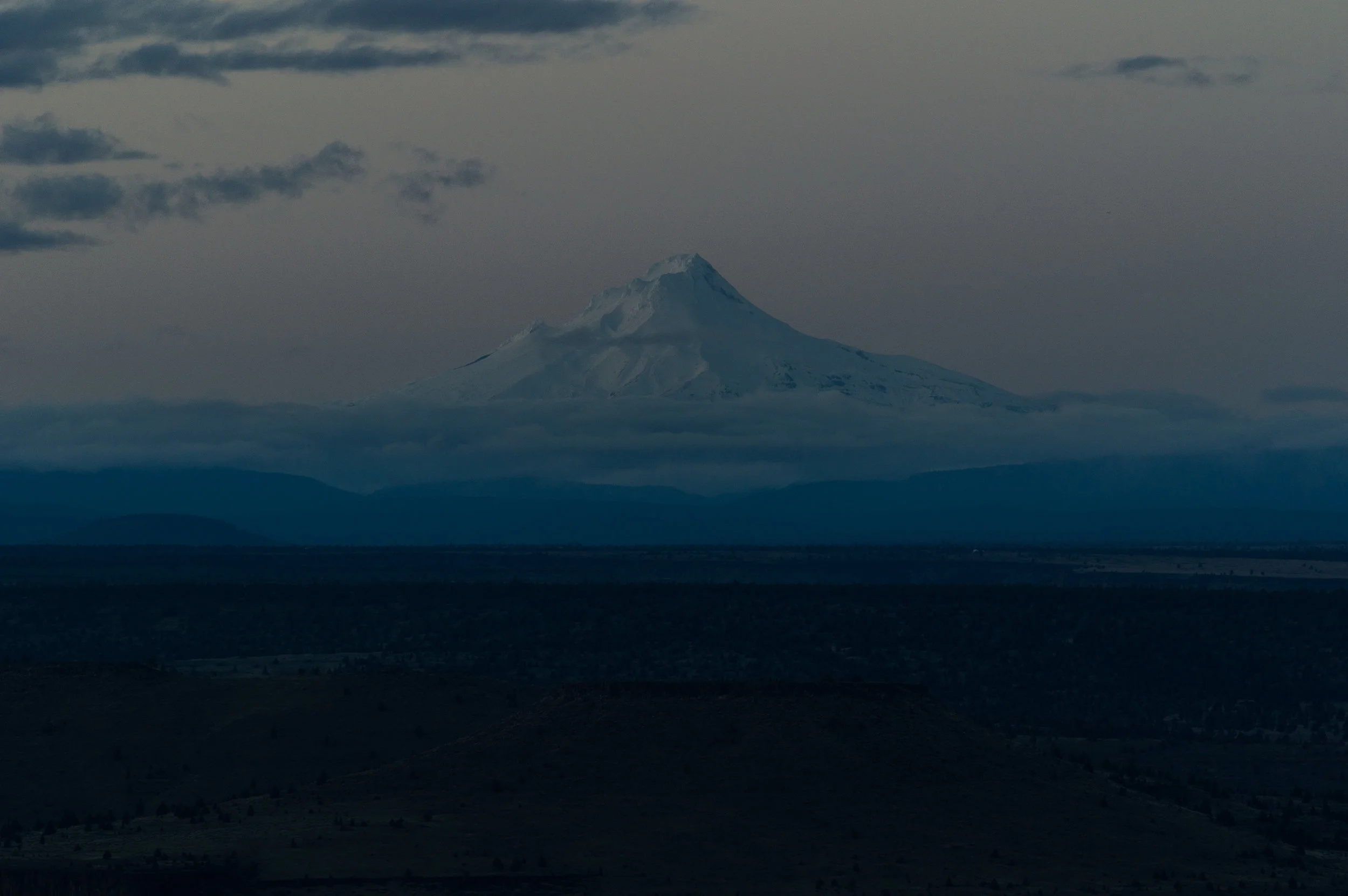 DSC_0169.jpg