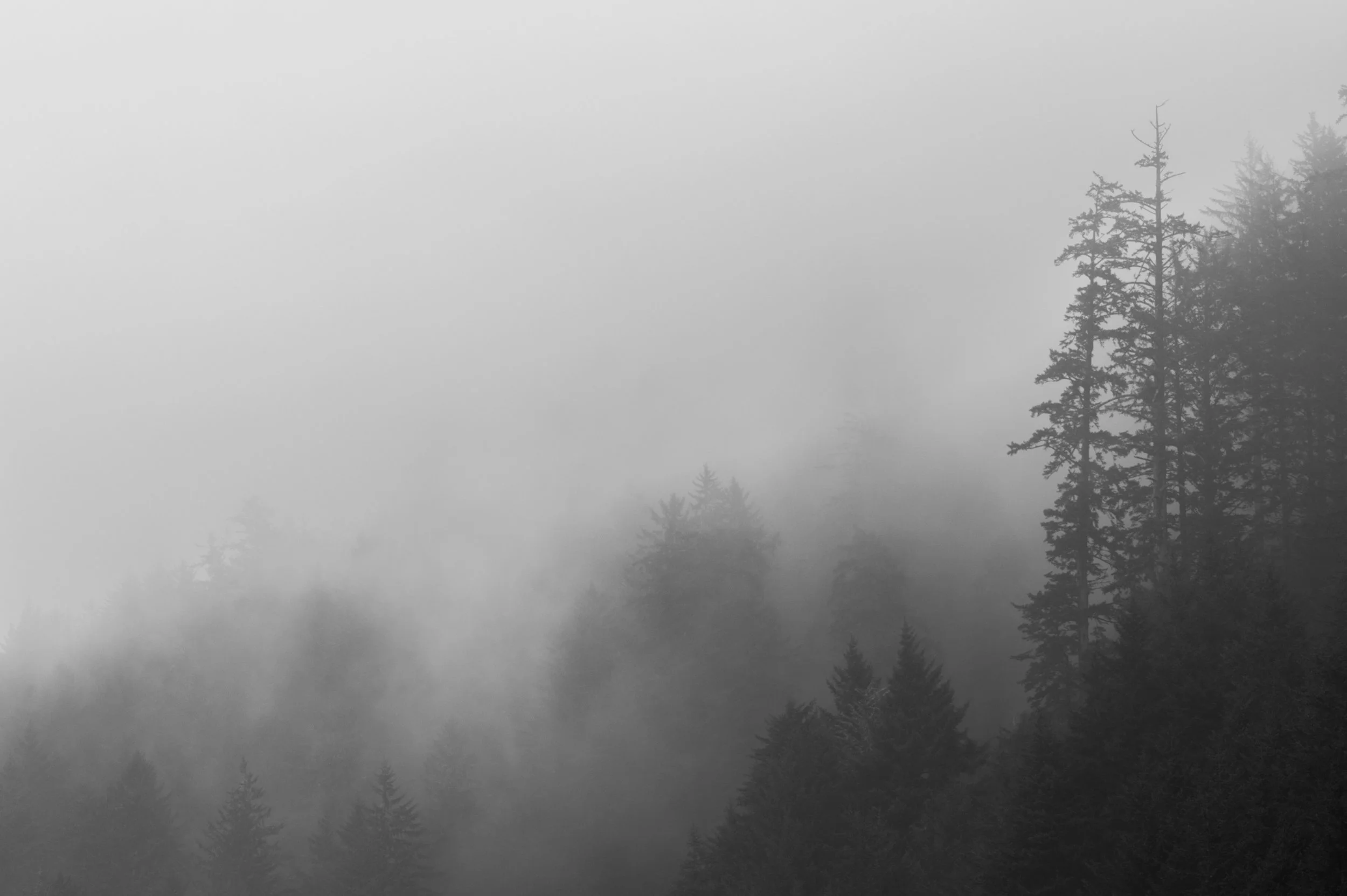 DSC_0389-2.jpg