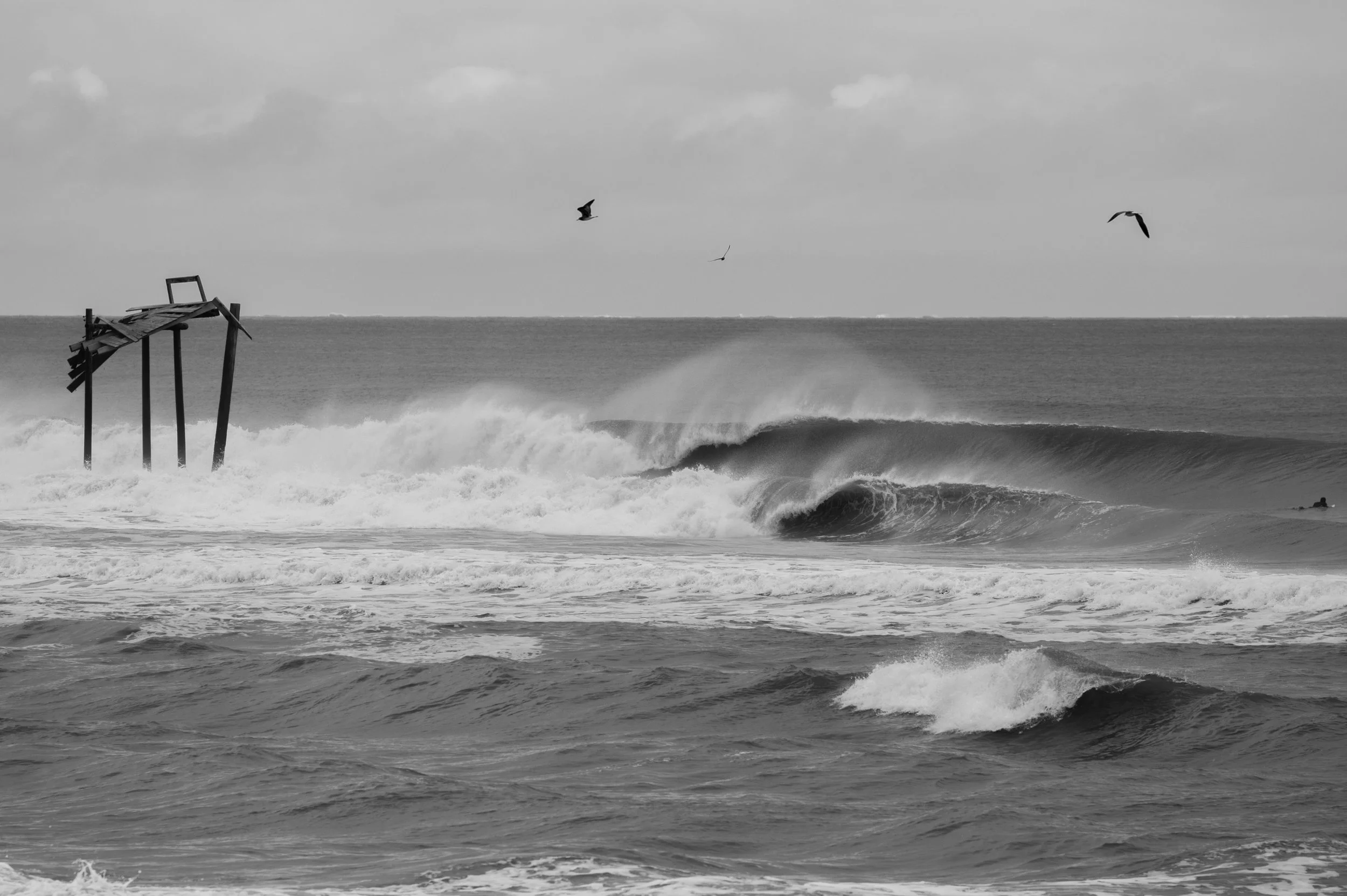 DSC_0090 copy.jpg