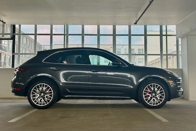 Macan_ - 2.jpeg