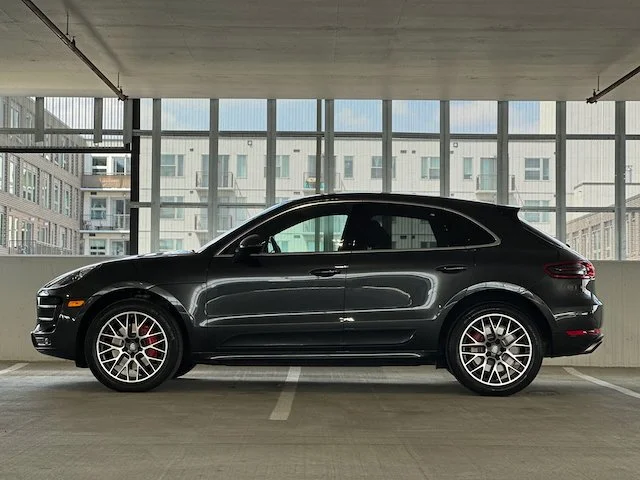 Macan_ - 16.jpeg