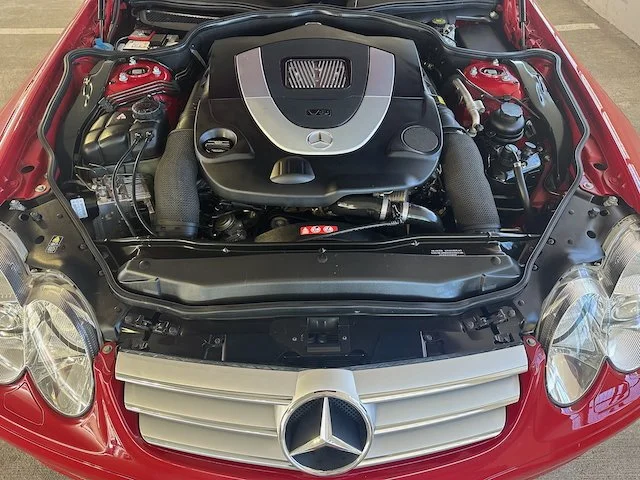 SL550_ - 4.jpeg