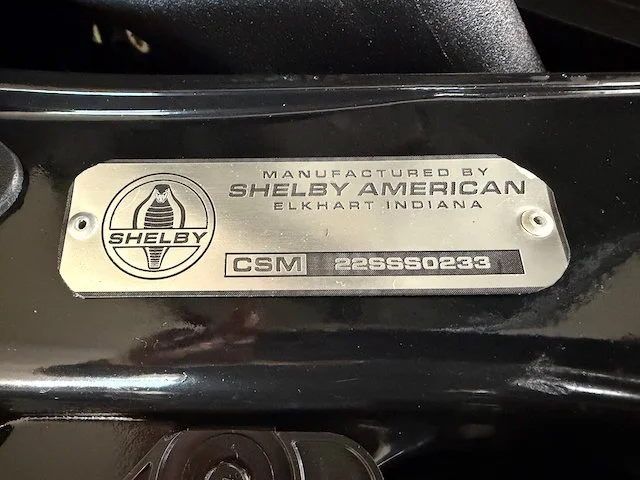 Shelby_ - 5.jpeg