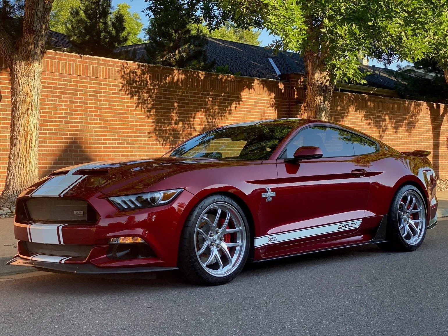Ford Mustang Shelby Super Snake