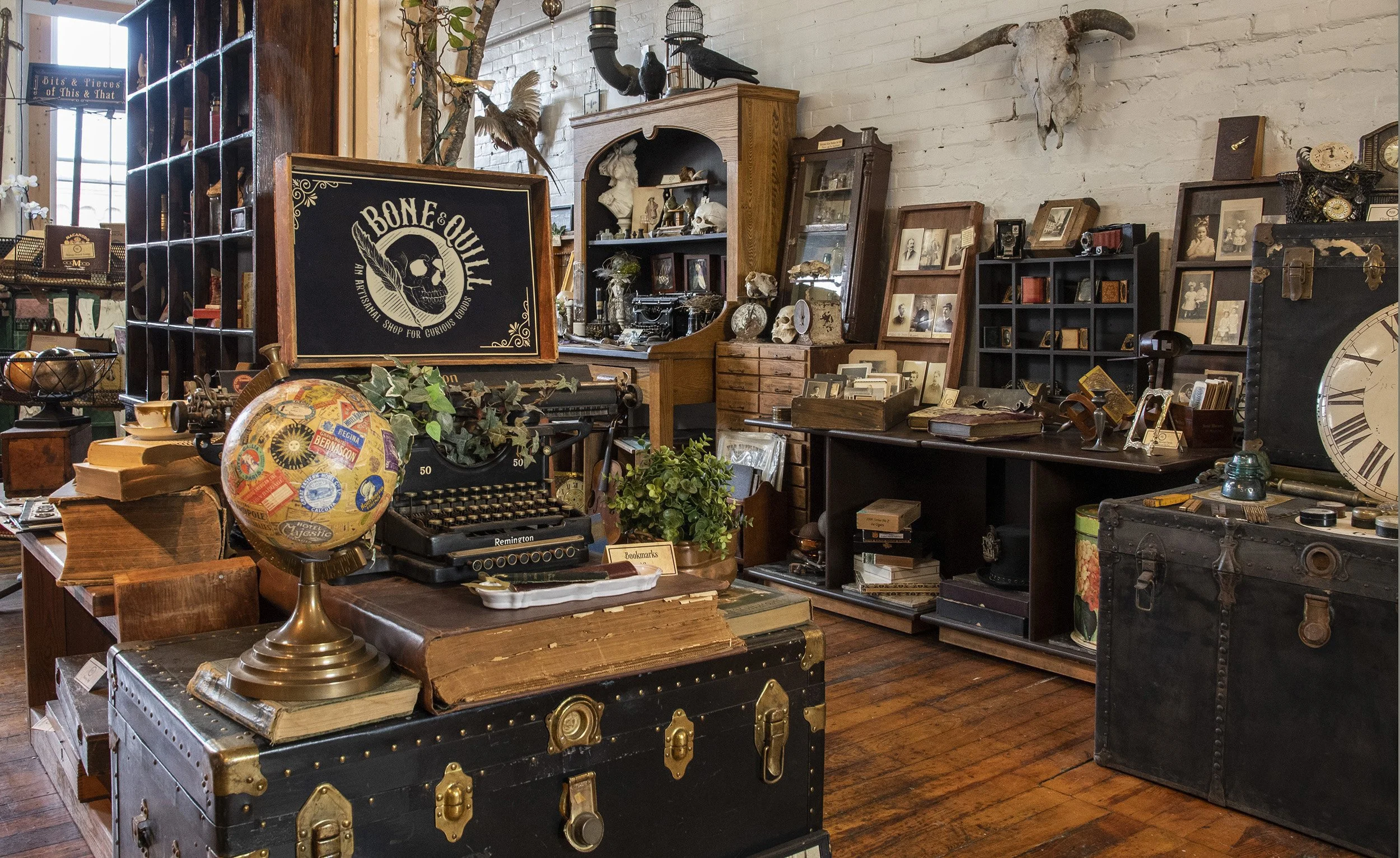 CurioShopView_2021.jpg
