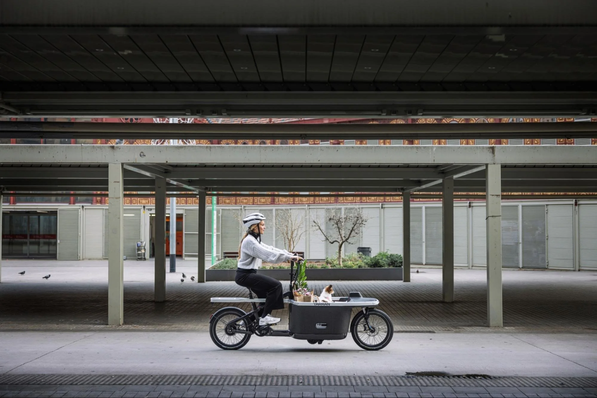 Mind the Bike: Laika welcomes Tarran to the Laikaverse!