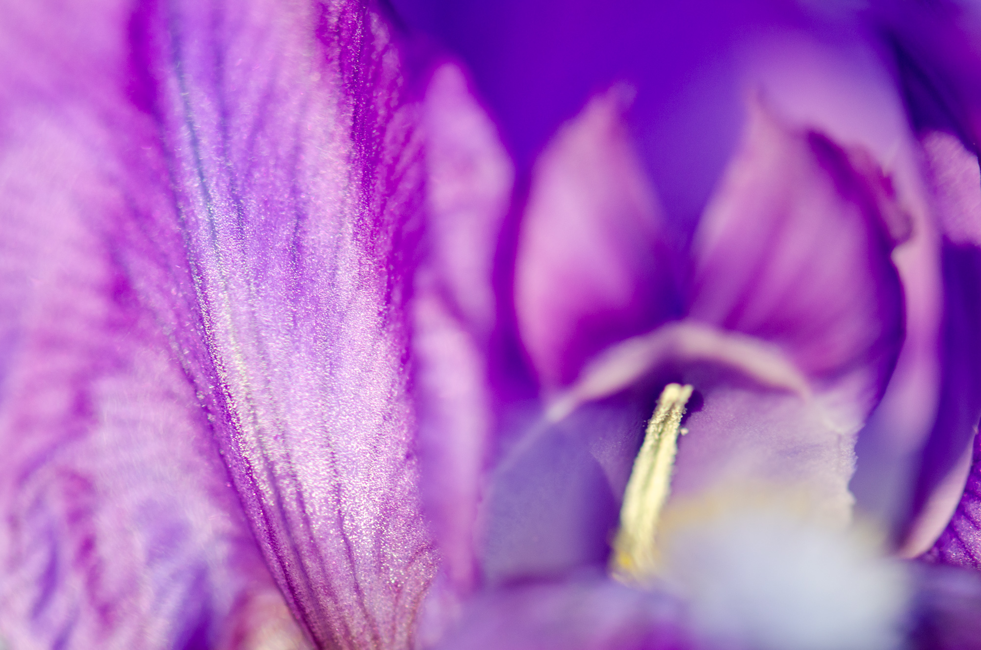 DSC_2739.jpg