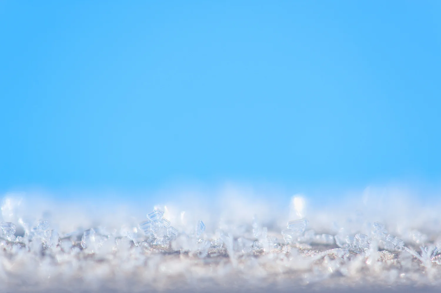 Ice, Frost, Abstract Art, Midwest, Color Photograph, Healing Art, Hospital Art, Interior Design, Wall Art