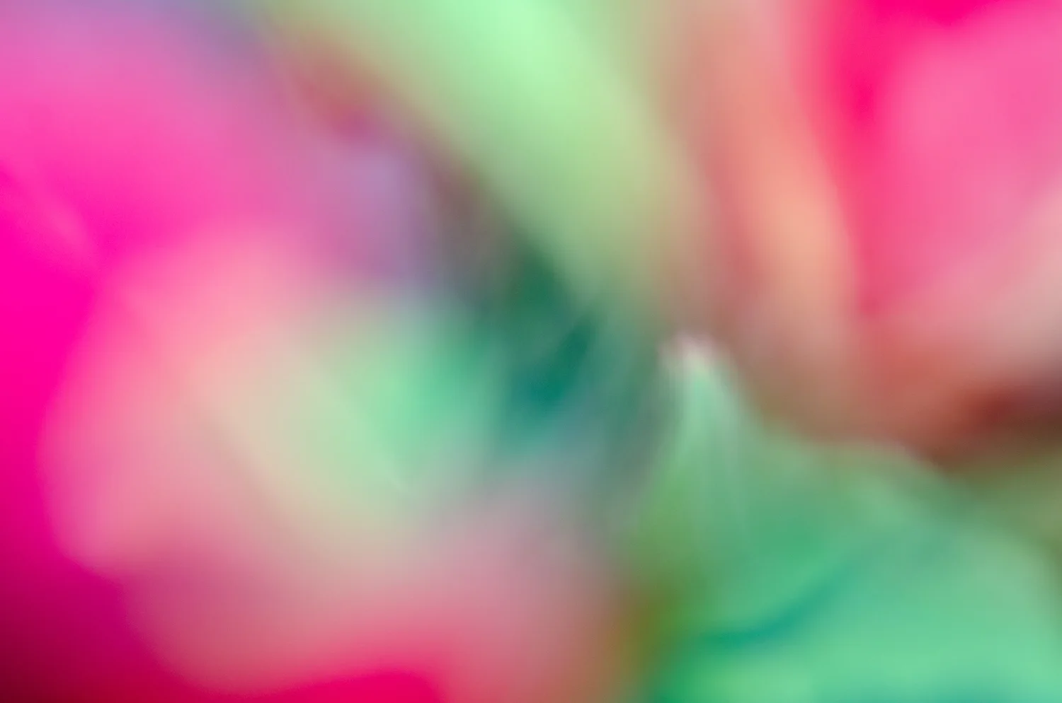 Flower, Abstract Art, Midwest, Color Photograph, Healing Art, Hospital Art, Interior Design, Wall Art