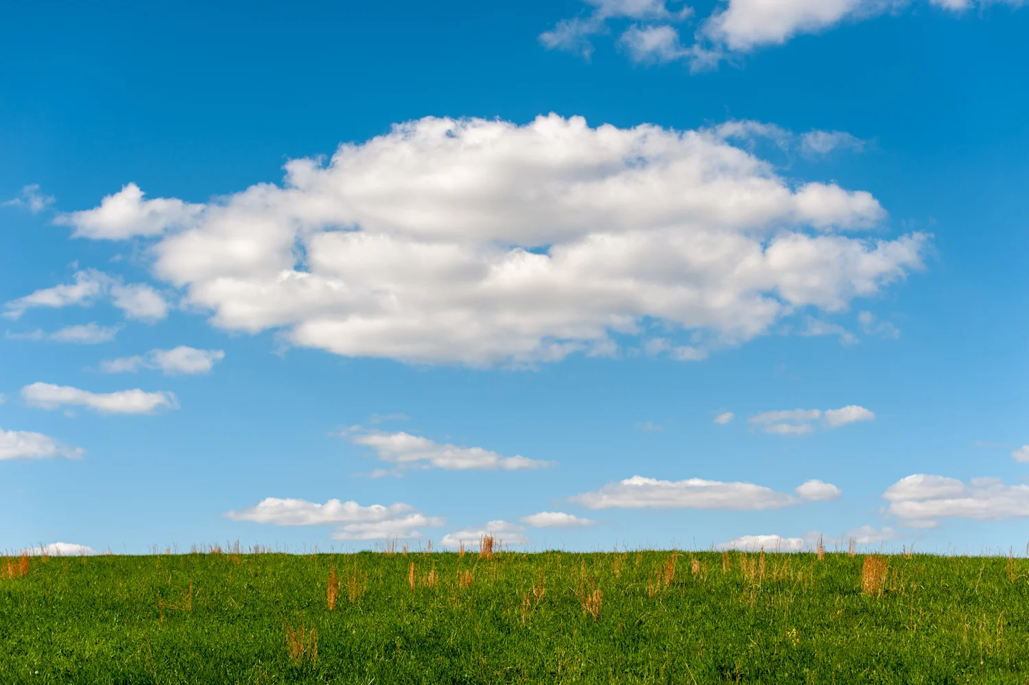 Landscape, Pasture, Clouds, Midwest, Color Photograph, Healing Art, Hospital Art, Interior Design, Wall Art