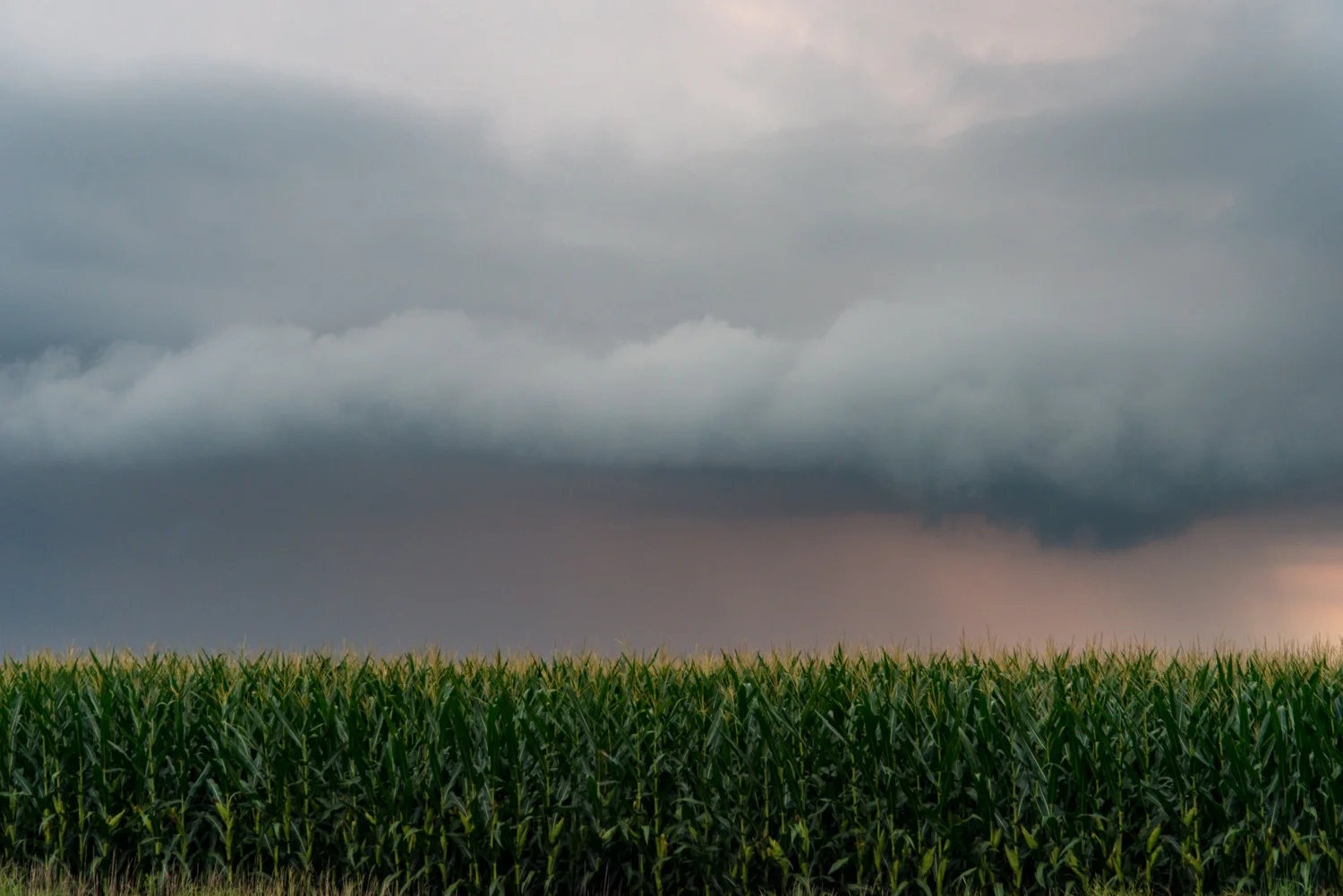 Color Photograph, Storm, Rain, Sunset, Midwest, Corn, Clouds, Sky, Interior Design, Wall Art