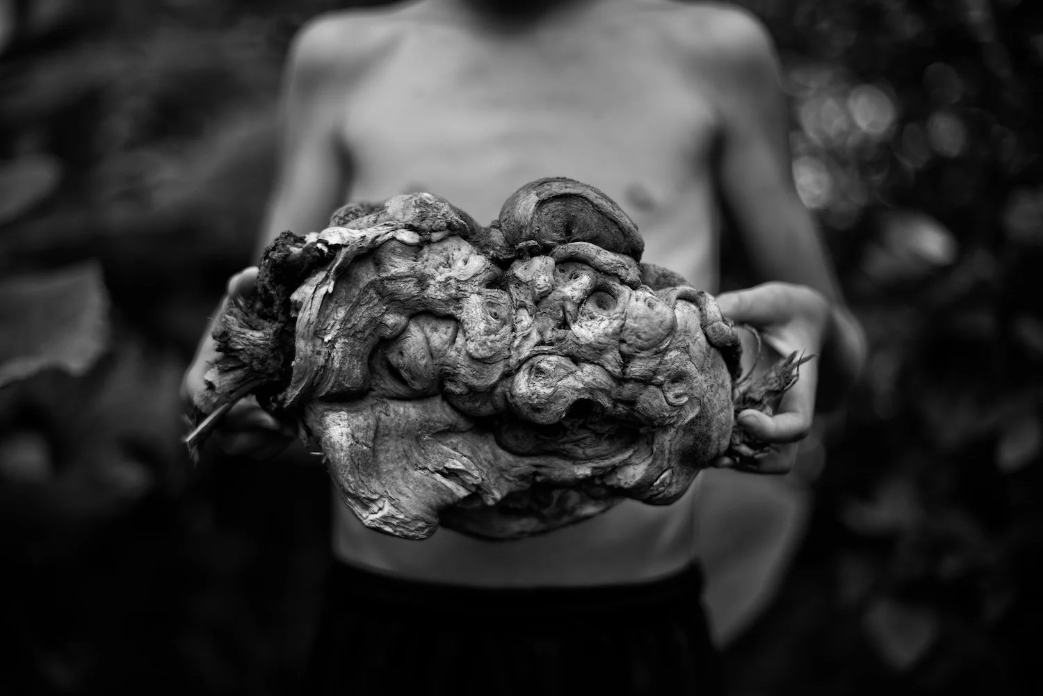 Black and White Photograph, Midwest, Wood Burl, Interior Design, Wall Art