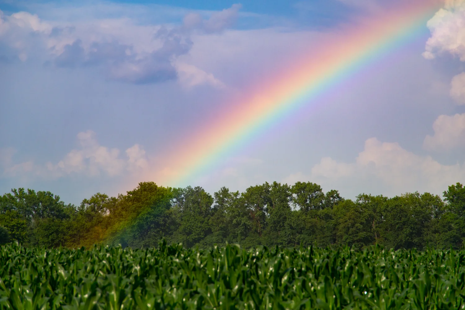 Color Photograph, Rainbow, Corn, Midwest, Clouds, Sky, Interior Design, Wall Art