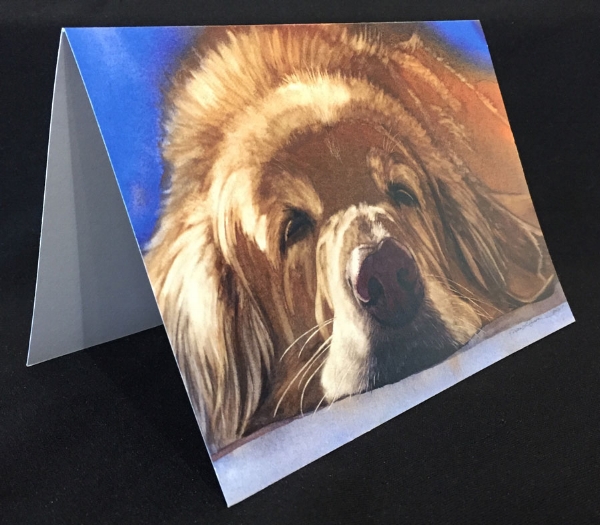 Fetch-it-yourself-card_website.jpg