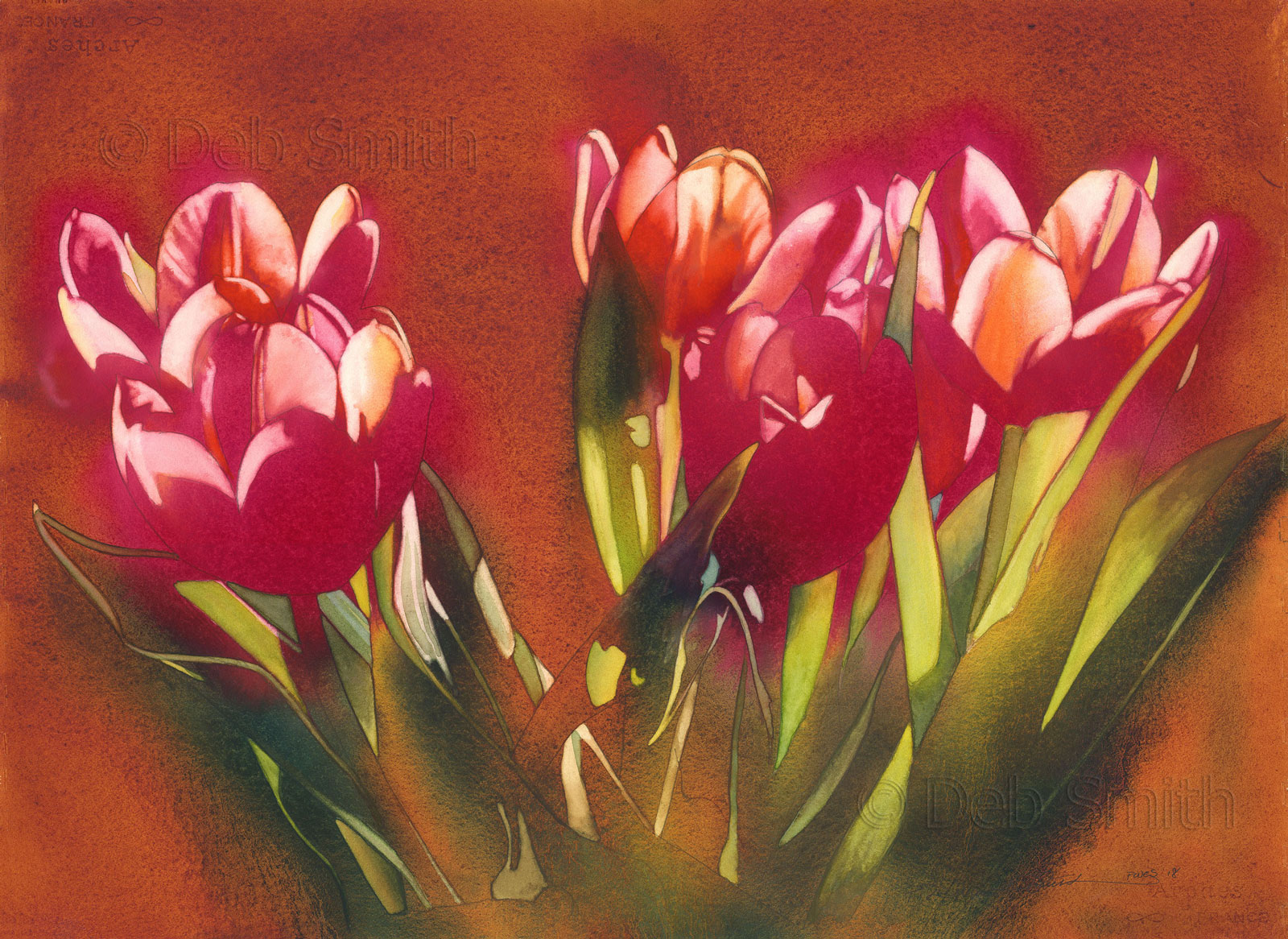 Tulips