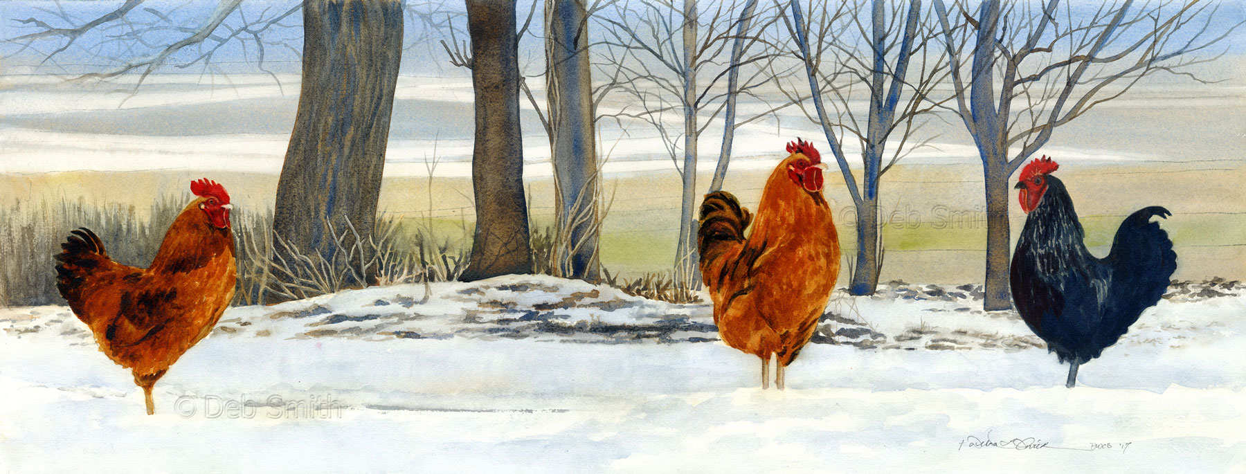 Chickens in the Snow