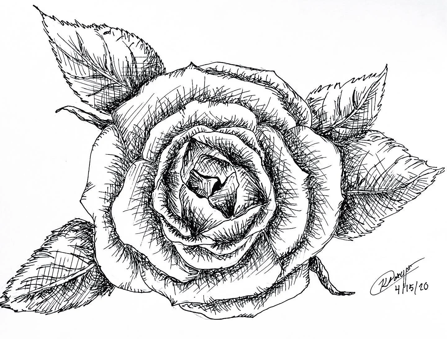 KaiaBella_InkRose_C2020.JPG
