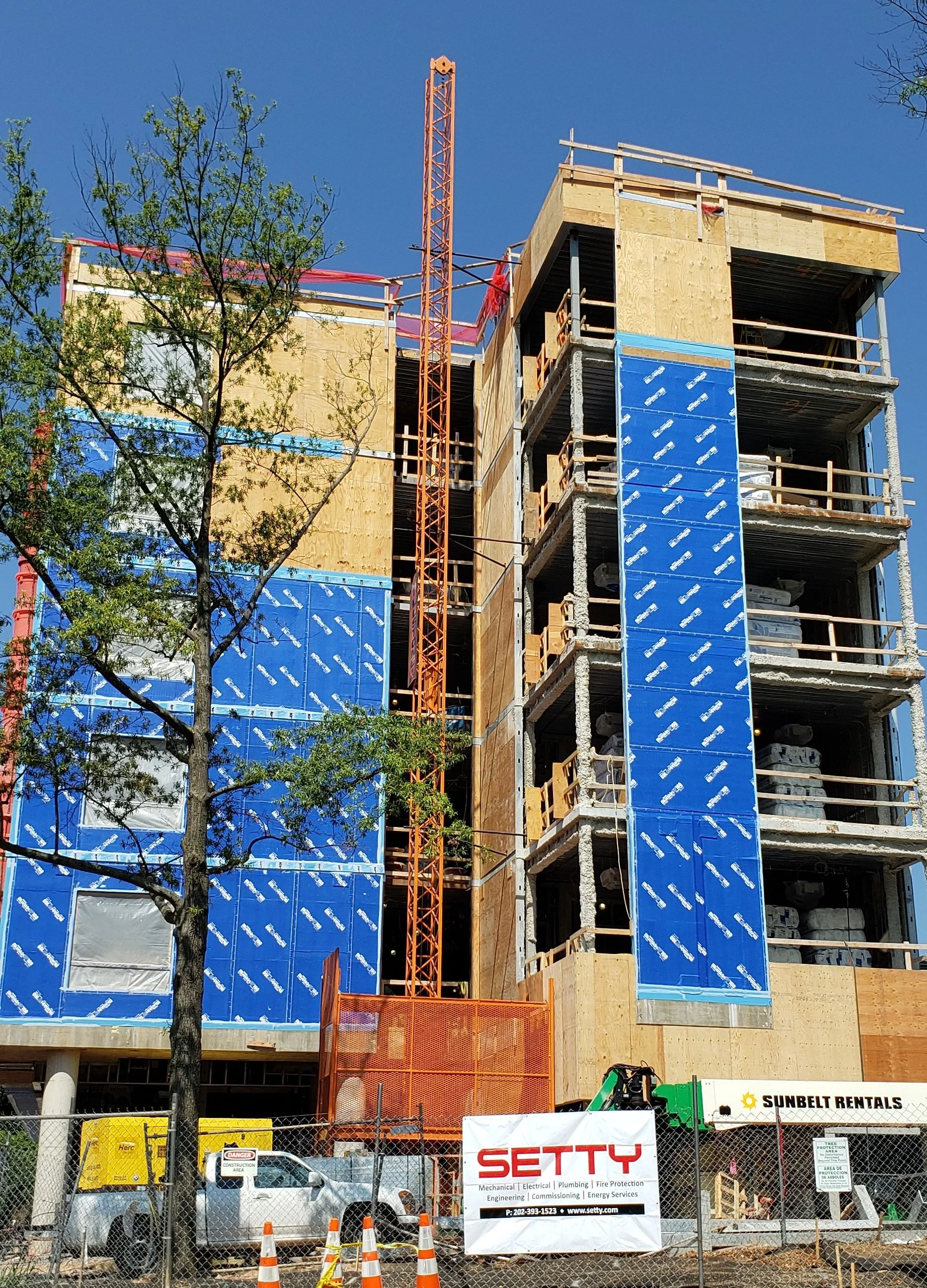 Ward 3 Work in progress.jpg