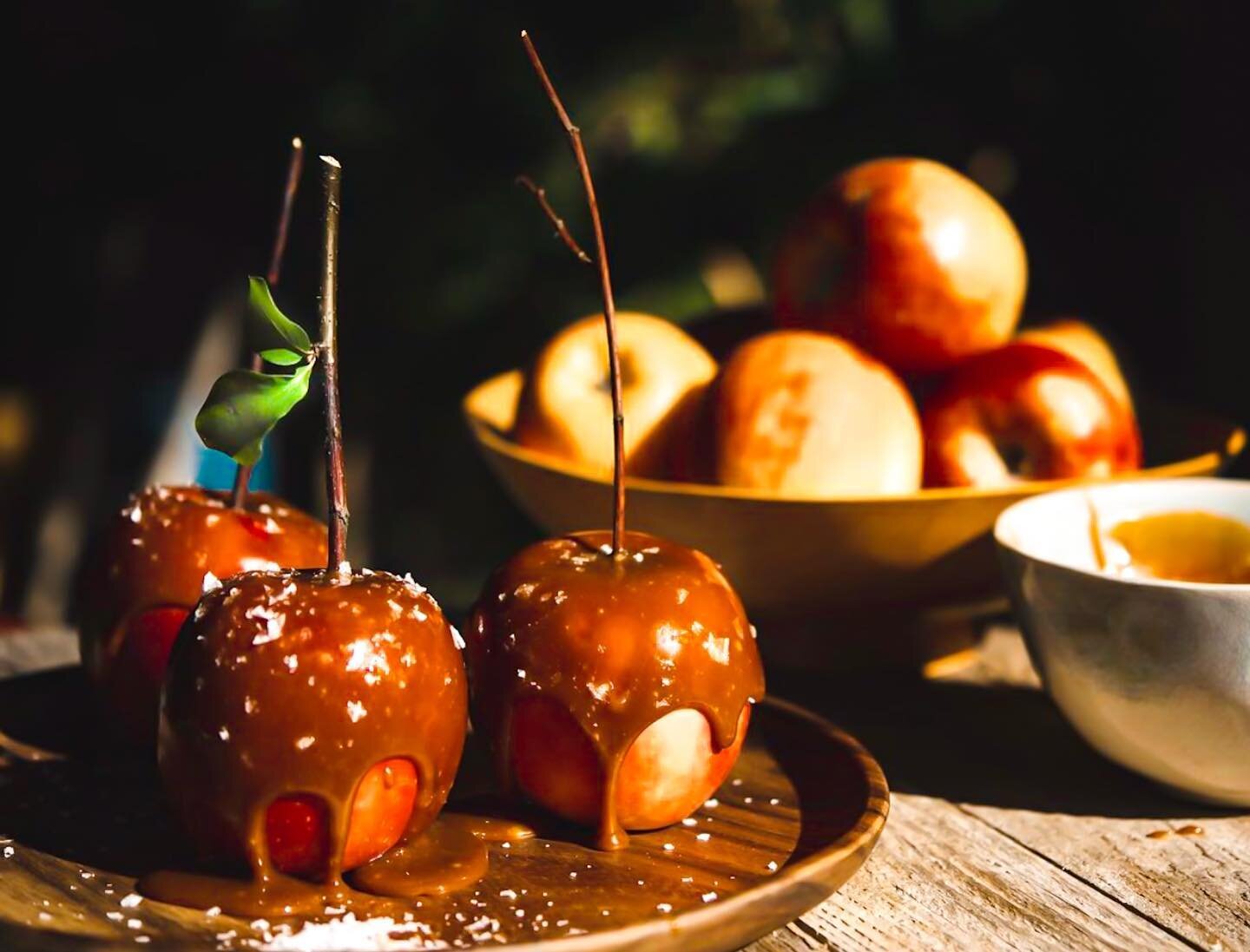 Salted Caramel Apples. Nothing wrong with this 😉
🍂
.
.
.
#foodporn #foodie #foodphotography #apples #fall #thanksgiving #pnwonderland #feedfeed #caramelapples #caramel #foodstagram #hautescuisines #eatwithyoureyes #simplecooking #keepitsimple #mak