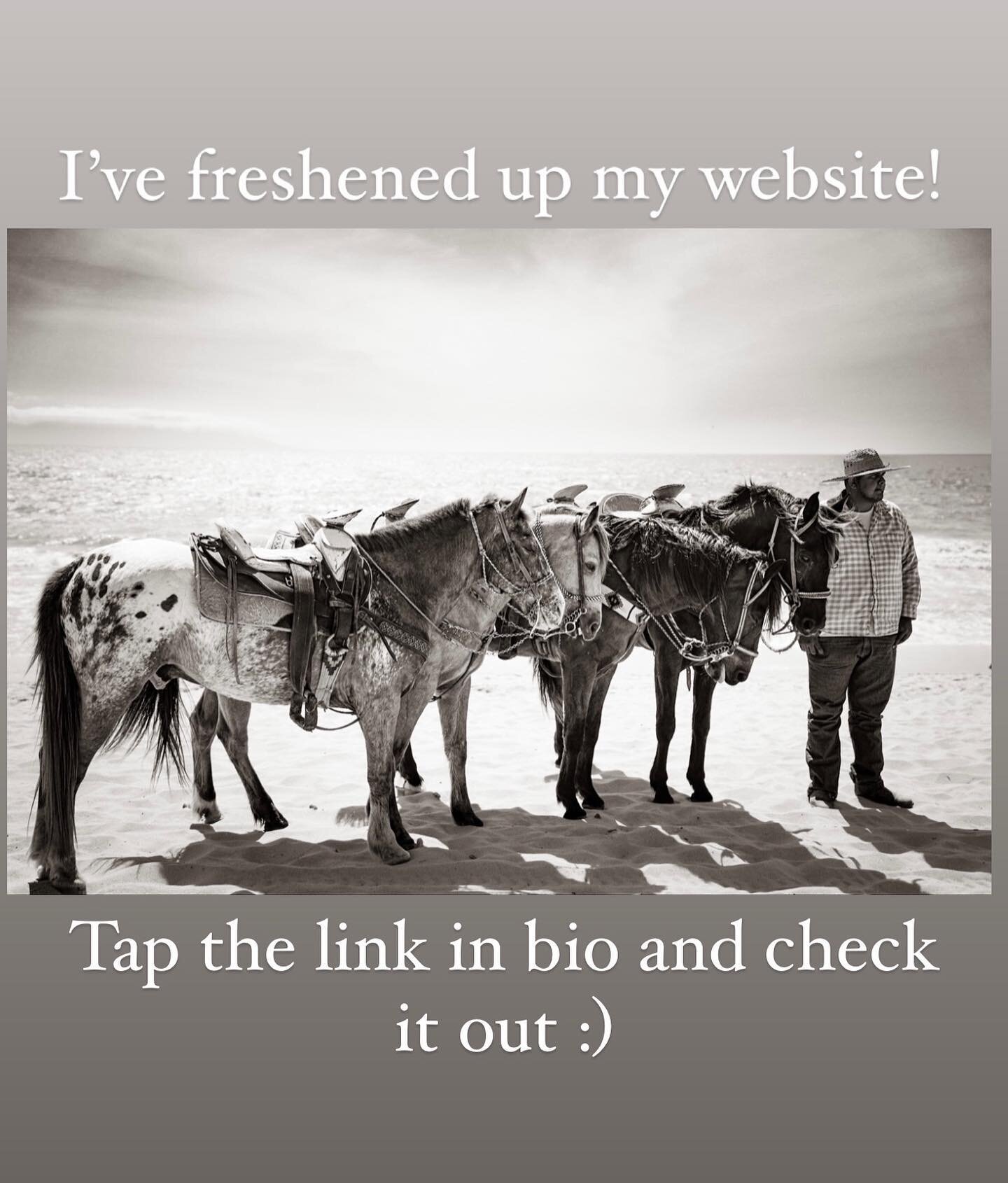 New and fresh website! Check it out and let me know what you think:)
.
.
.
#photography #photooftheday #picture #sony #sonyalpha #pnwlife #lifeisart #fotografia #foto #seattlephotographer#foodphotography #fooodporn #horses #portraitphotography #natur