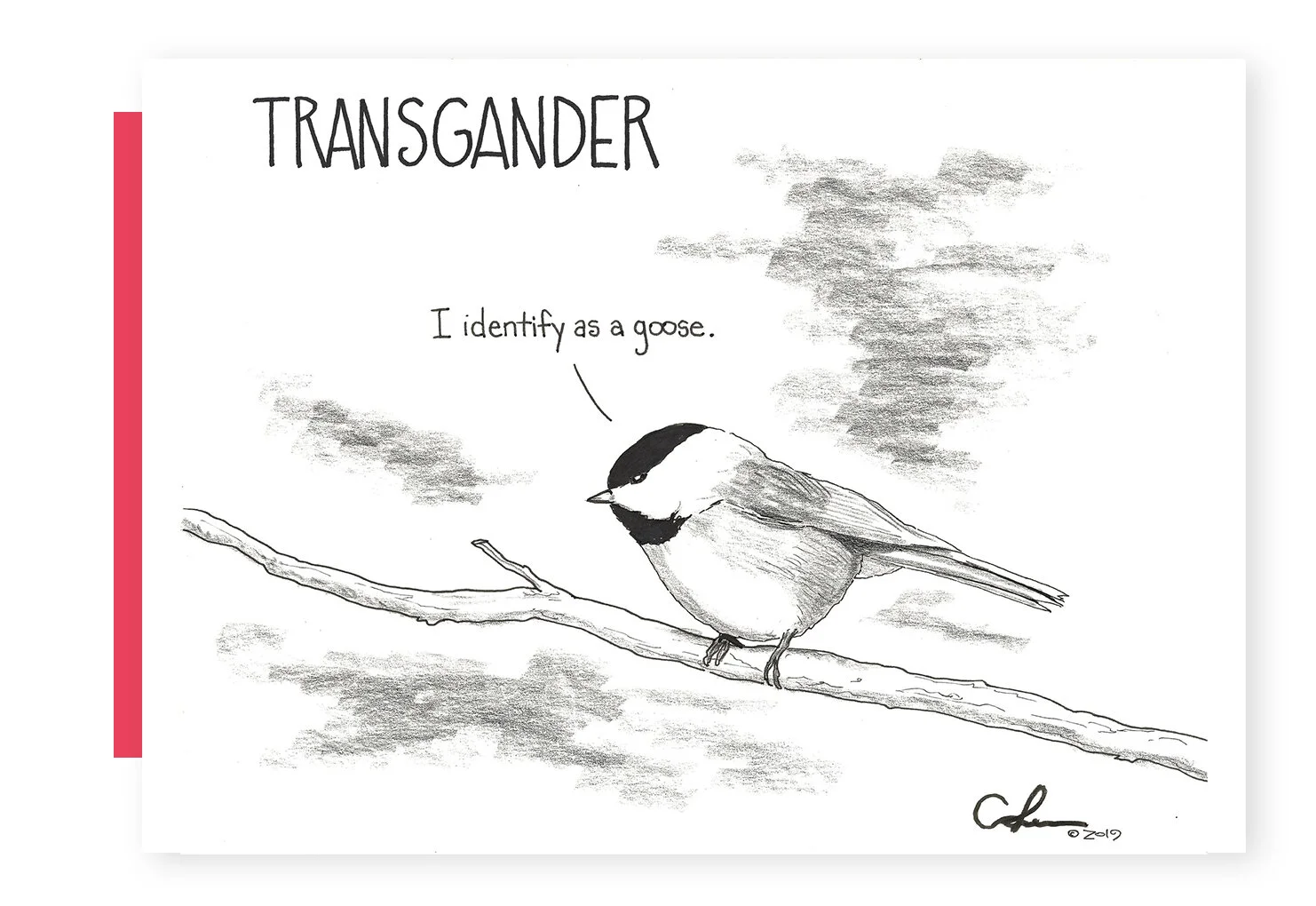 Transgander