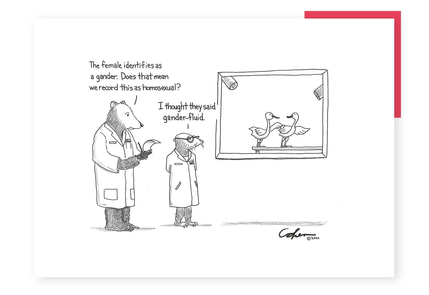 Gander Fluid