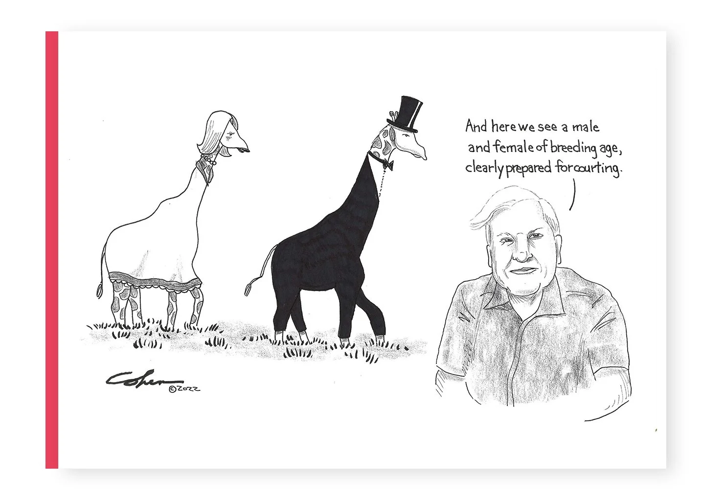 Giraffes