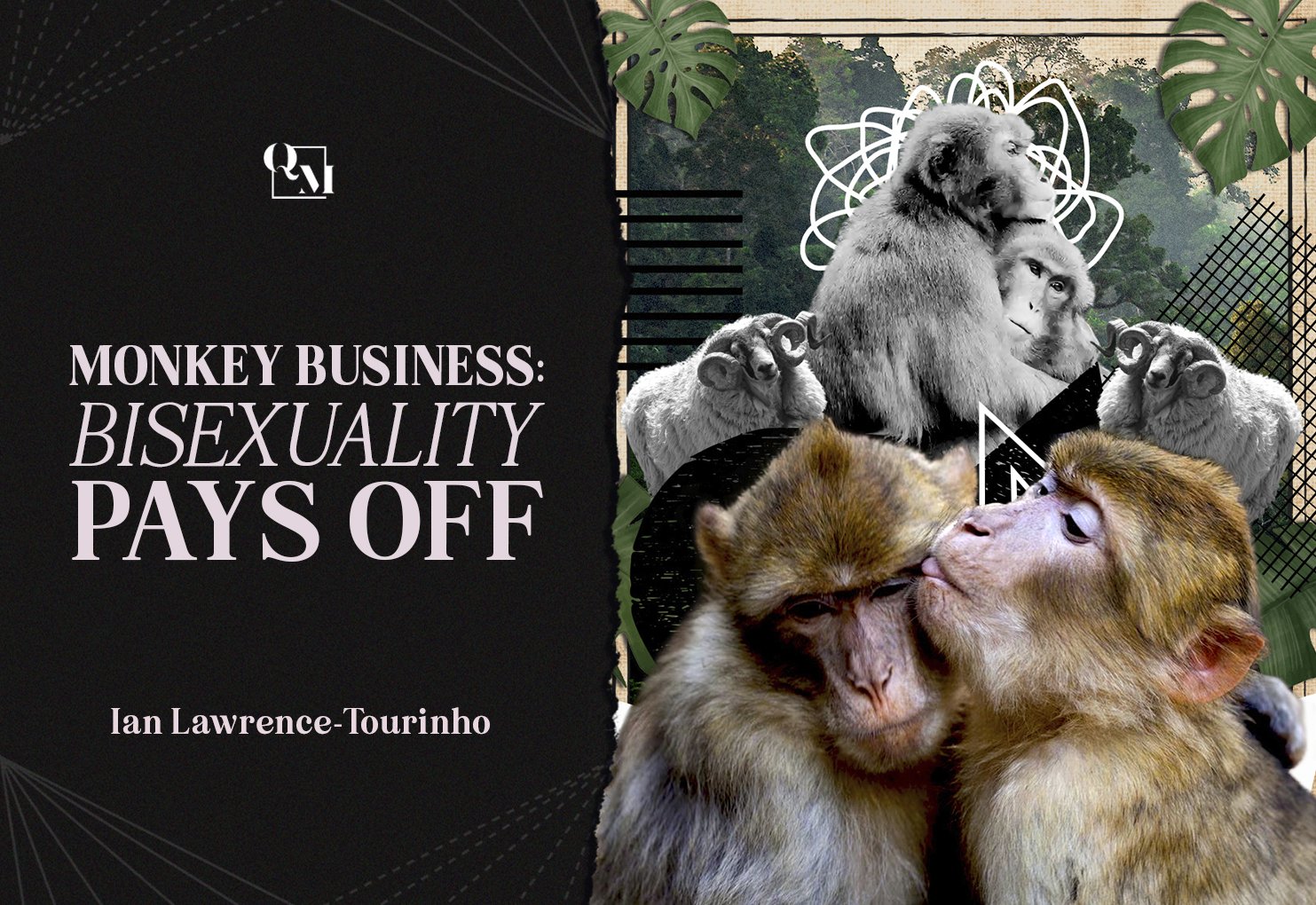 Scientists Map Monogamy, Jealousy in the Monkey Mind - California