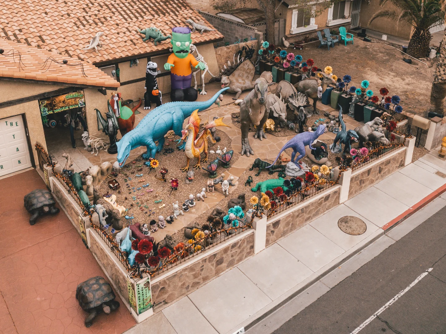 Dino House