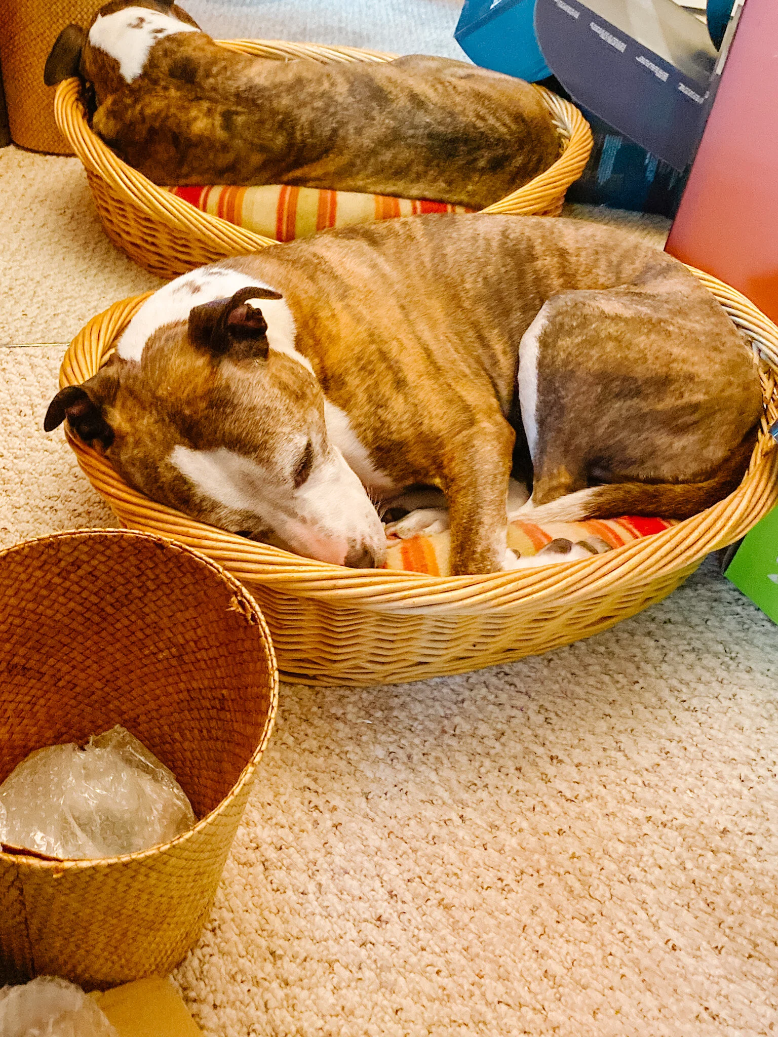 In Love and Sadness (a blog written by Cary)