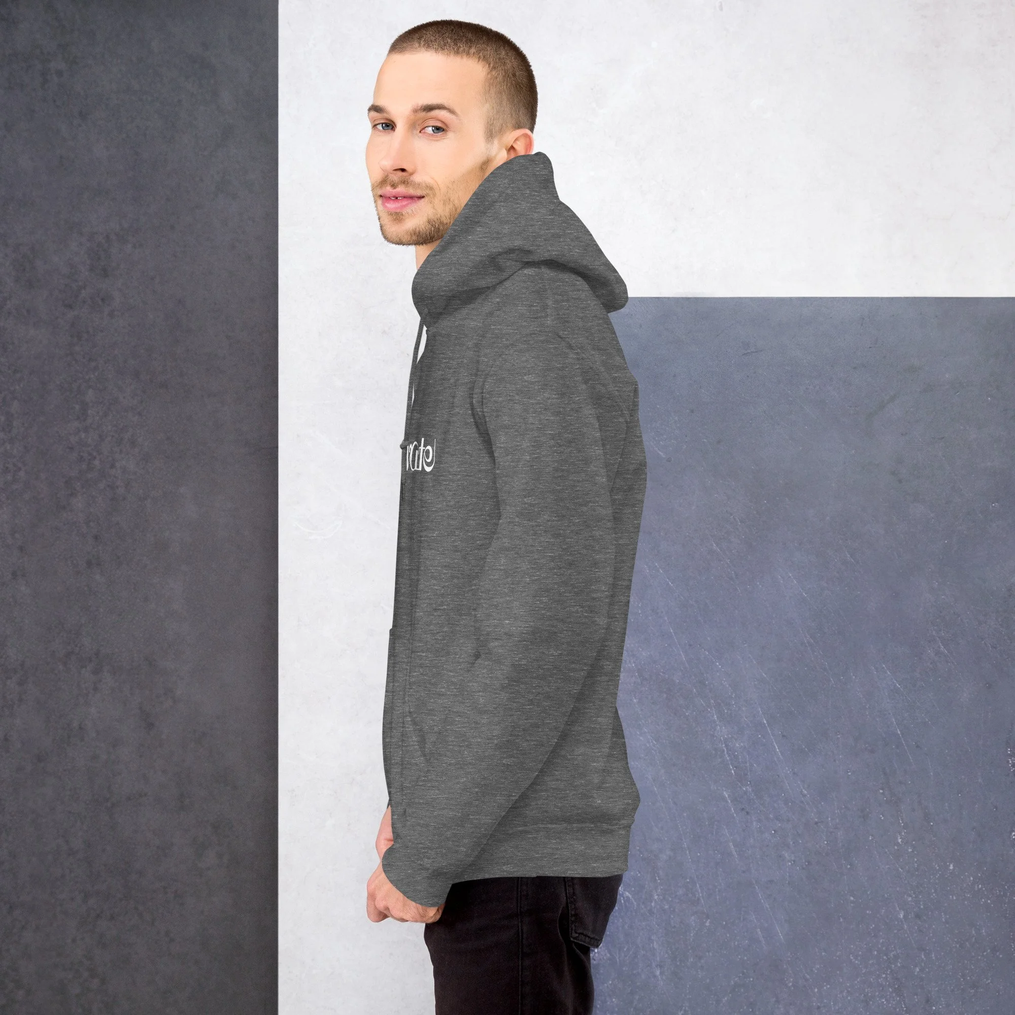 unisex-heavy-blend-hoodie-graphite-heather-left-68bf7e9809a28.jpg