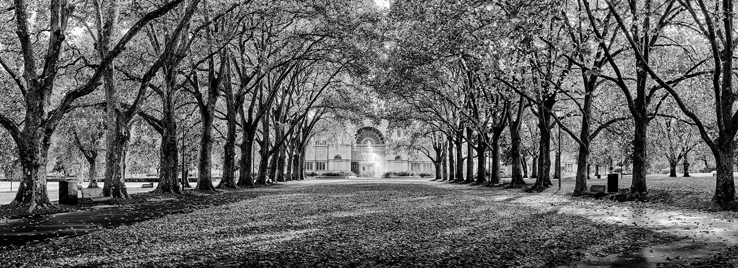 Carlton Gardens II: Category - Gardens