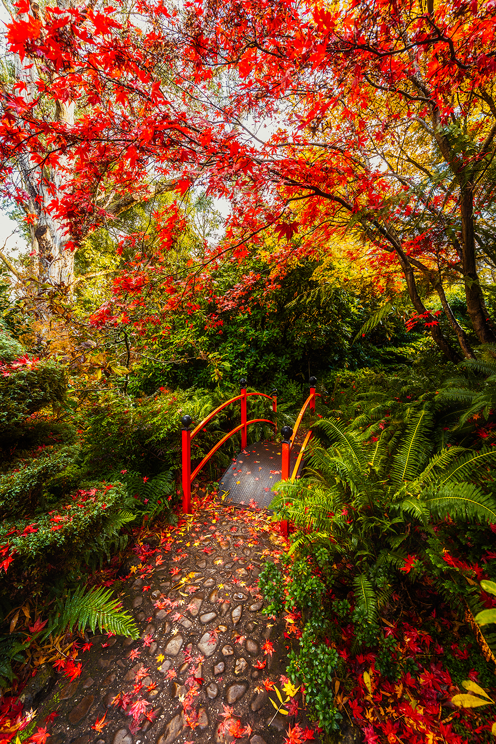 Mount Macedon: Category - Gardens