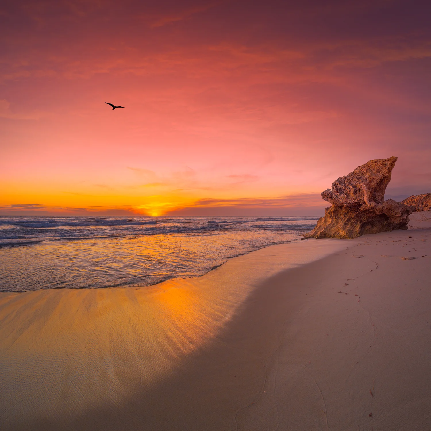rye-backbeach-lizard-head-rock-nikart-photography.jpg