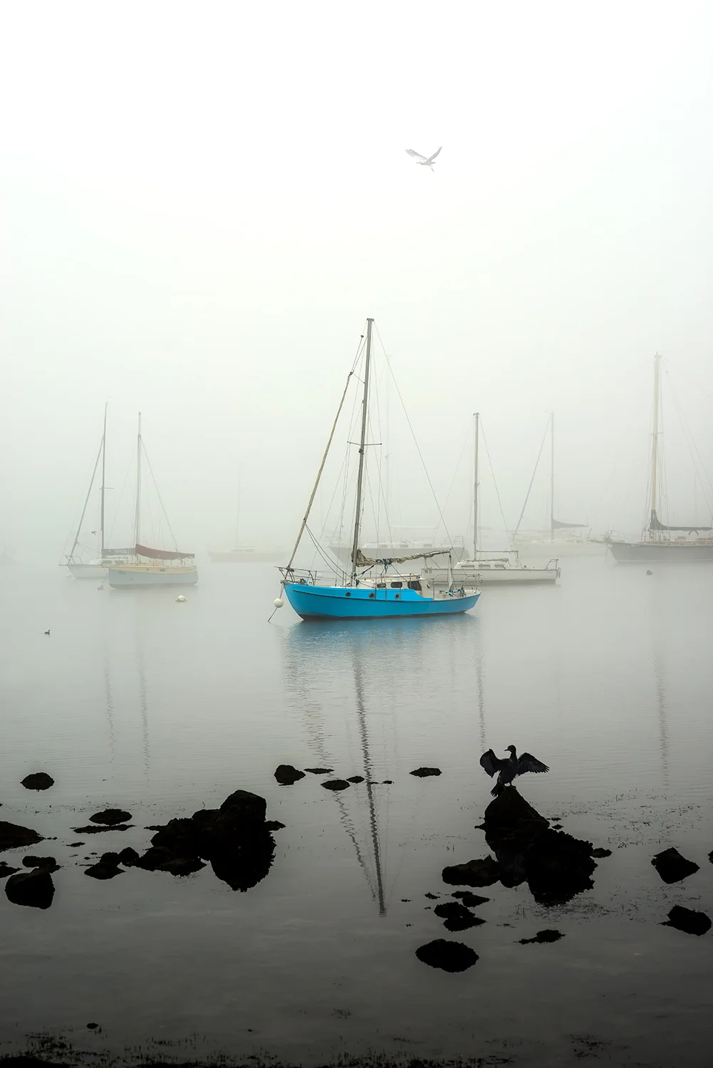 williamstown-fog-hobsons-bay-boats-nikart-photography-limited-edition.jpg