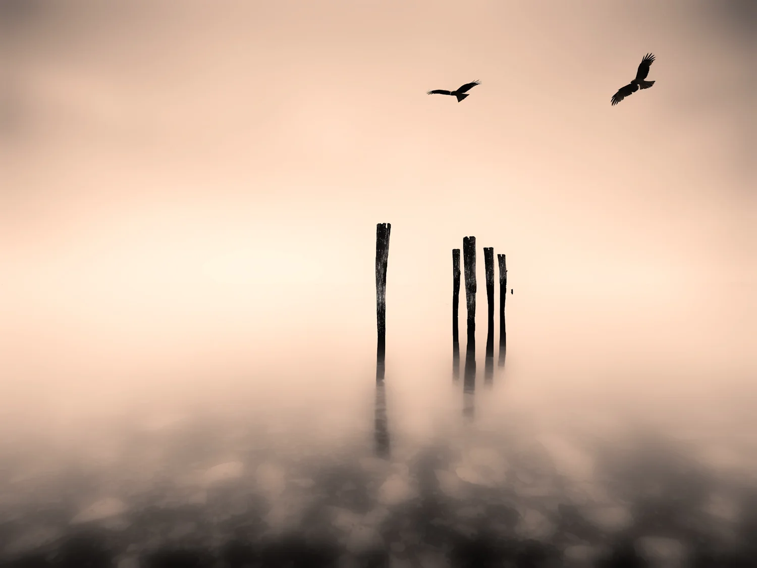 dreaming-jetty-pier-birds-fineart-nickpsomiadis-photography.jpg