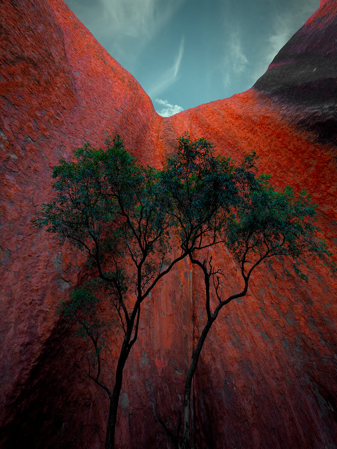 Arkosic Monolith: Category - Trees