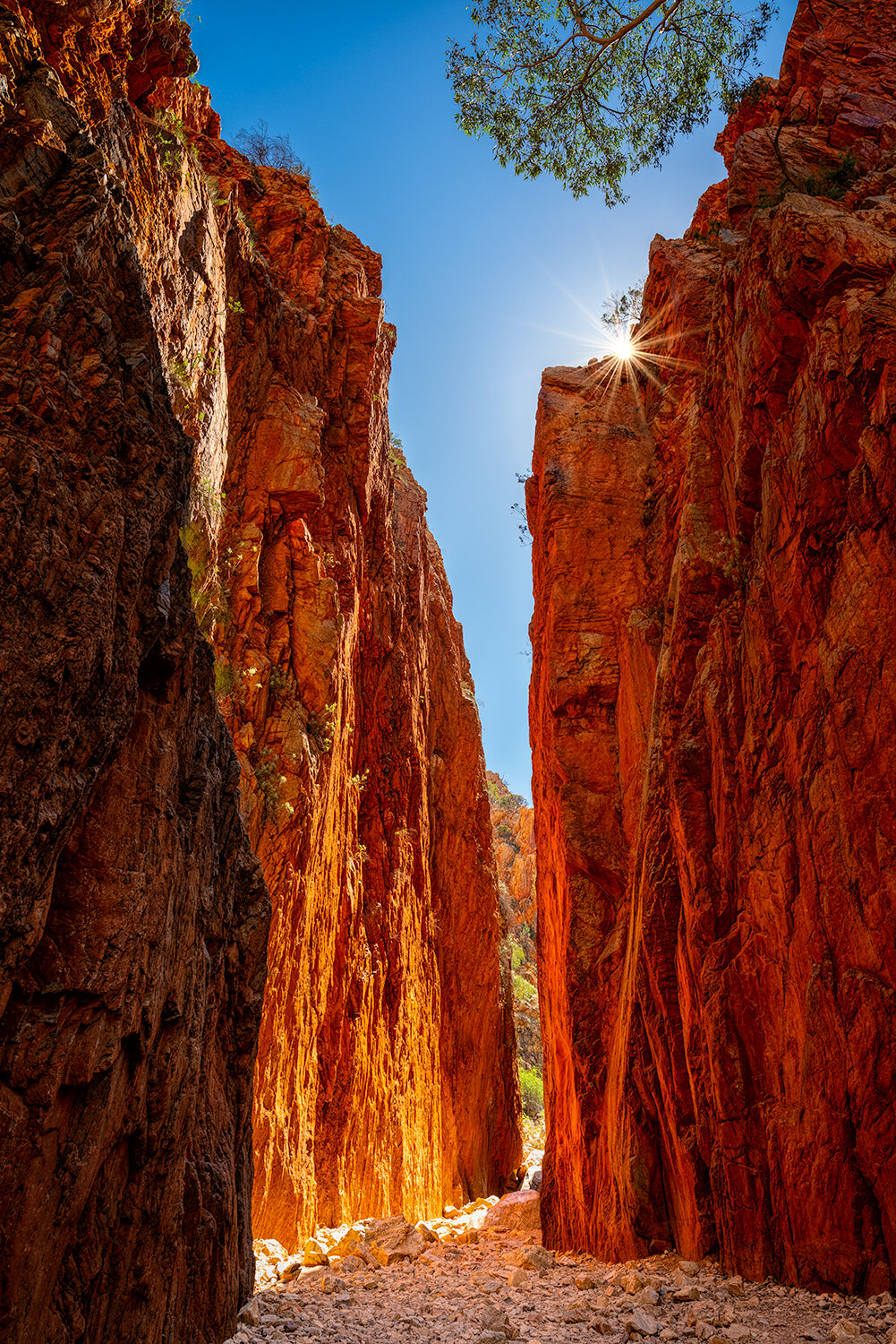 Standley Chasm: Category - Deserts